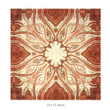 Paisley Jaal Set Of 6 Table Napkins