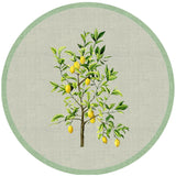 Wilderness Bloom Coasters