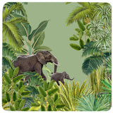 Tropical Forest Coasters